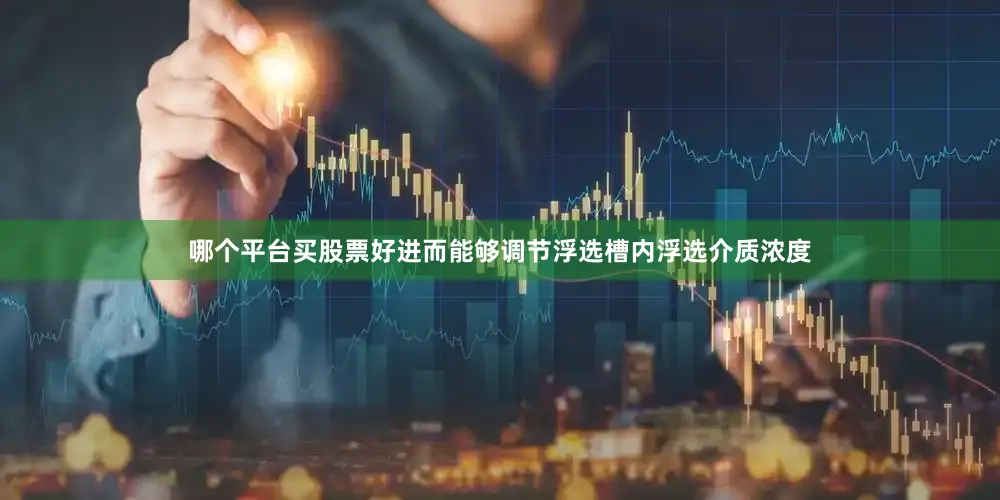 哪个平台买股票好进而能够调节浮选槽内浮选介质浓度