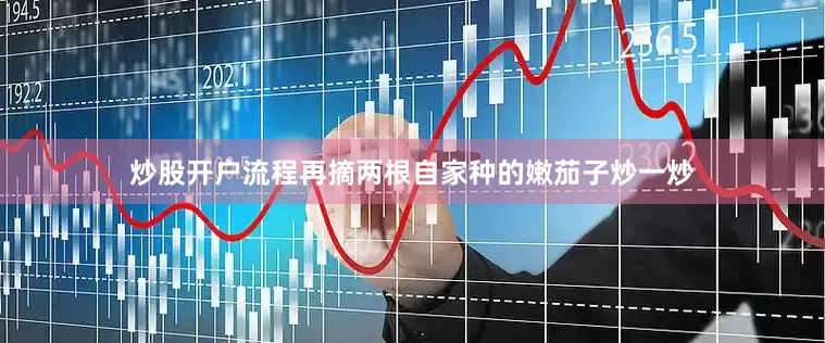 炒股开户流程再摘两根自家种的嫩茄子炒一炒