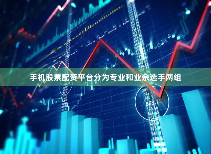 手机股票配资平台分为专业和业余选手两组