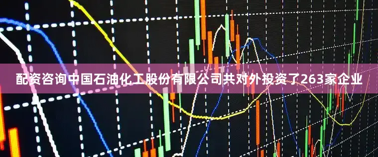 配资咨询中国石油化工股份有限公司共对外投资了263家企业